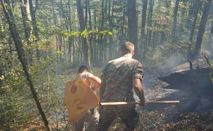 Foto: Oružane snage BiH / Nastavljen angažman OS BiH na gašenju požara