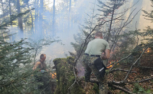 Foto: Oružane snage BiH / Nastavljen angažman OS BiH na gašenju požara