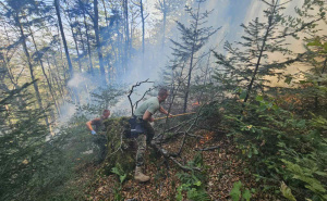 Foto: Oružane snage BiH / Nastavljen angažman OS BiH na gašenju požara