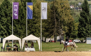 Foto: Konjički klub Visoko / Konjički klub Visoko