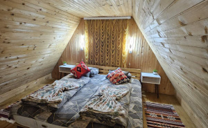 Foto: Ustupljena fotografija / Vikendica Alena Idrizovića nadomak Saraajeva