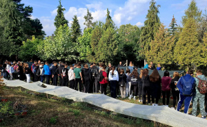 Foto: Vlada KS / Pošumljavanje