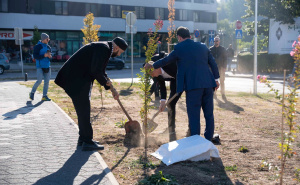 Foto: Ustupljena fotografija / U Sarajevu postavljen memorijalni kamen