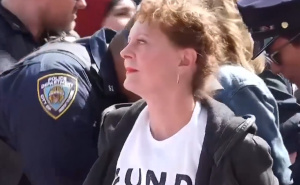 Foto: EPA - EFE / Susan Sarandon s lisicama na rukama