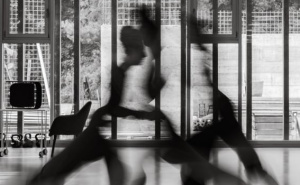 Foto: Monika Andrić / "Deinos"