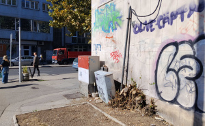 Foto: M. B. / Radiosarajevo.ba / Posječena čuven smokva u centru Sarajeva