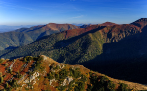 Foto: Boris Trogrančić / Vranica