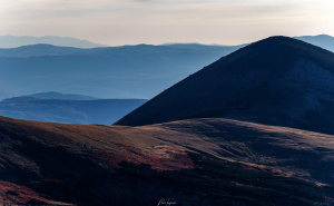 Foto: Boris Trogrančić / Vranica