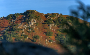 Foto: Boris Trogrančić / Vranica