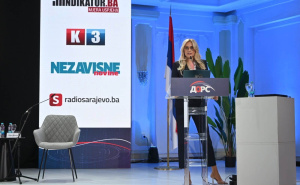 Promotivni tekst / Draženka Janjanin