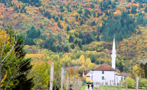 Foto: Vlada KS / Ilidža u bojama jeseni