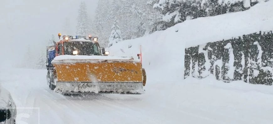 Da li ste vidjeli grtalicu u zadnjih 12 sati?